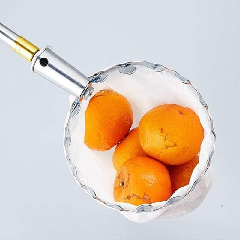 SYCOOVEN Fruit Picker Head Basket Metal Fruit Picker Agricultural Garden Hardware Tools Portable Fruit Catcher for Harvest Picking Cherry Pear and PeachSize14cm - Image 4