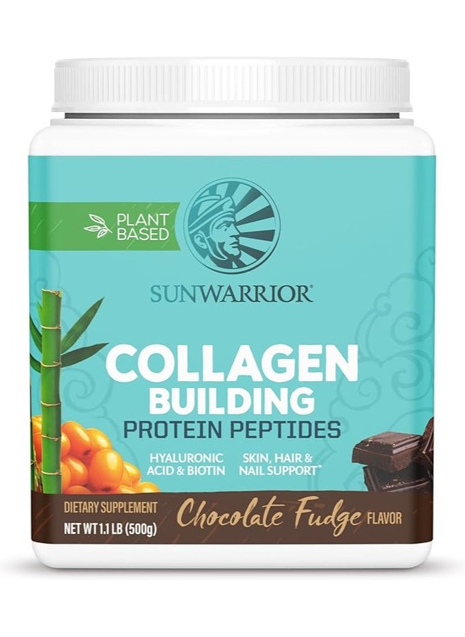 Sunwarrior Sunwarrior Plant-Based Collagen Building Protein Peptides Chocolate Fudge – 500g, with Hyaluronic Acid & Biotin  - Image 1