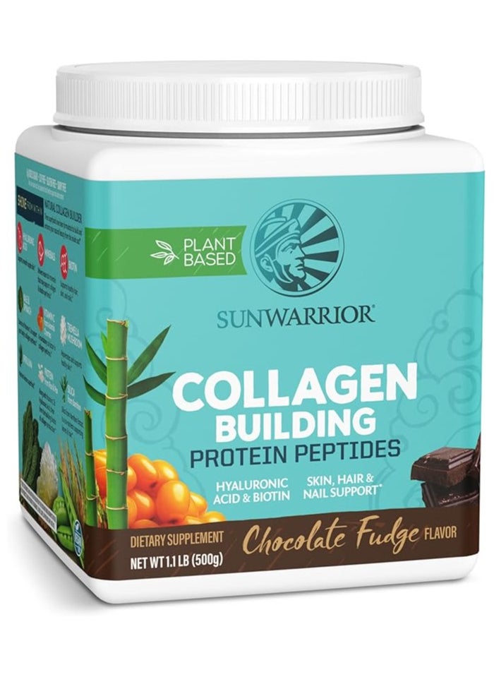 Sunwarrior Sunwarrior Plant-Based Collagen Building Protein Peptides Chocolate Fudge – 500g, with Hyaluronic Acid & Biotin  - Image 2