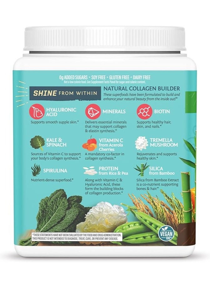 Sunwarrior Sunwarrior Plant-Based Collagen Building Protein Peptides Chocolate Fudge – 500g, with Hyaluronic Acid & Biotin  - Image 3
