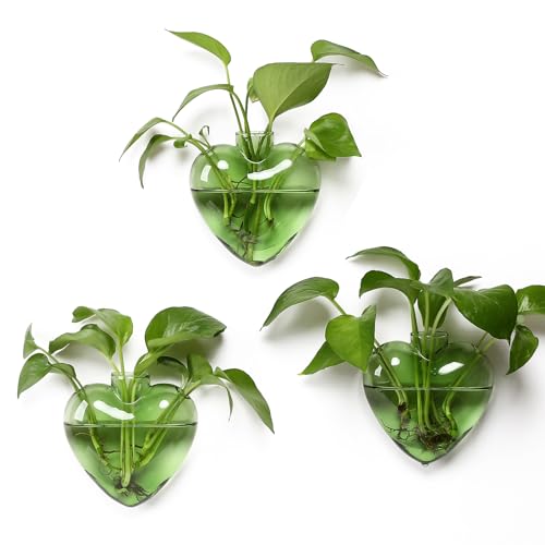CYZglass Wall Hanging Planter Propagation Station for Indoor Plants Glass Vase Air Plant Holder Gift for Women Girlfriend Plant Lover - Image 1