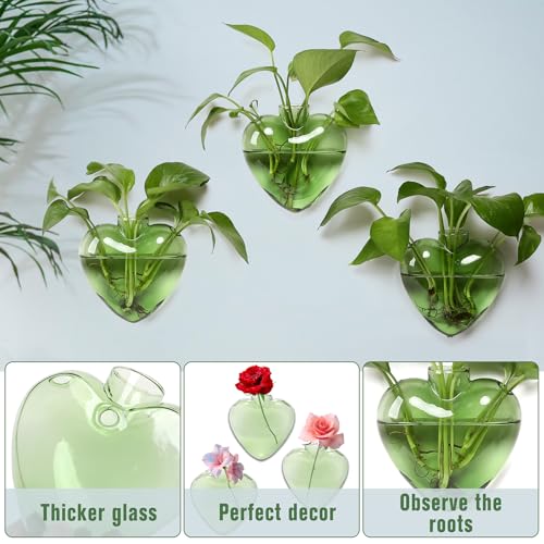 CYZglass Wall Hanging Planter Propagation Station for Indoor Plants Glass Vase Air Plant Holder Gift for Women Girlfriend Plant Lover - Image 3