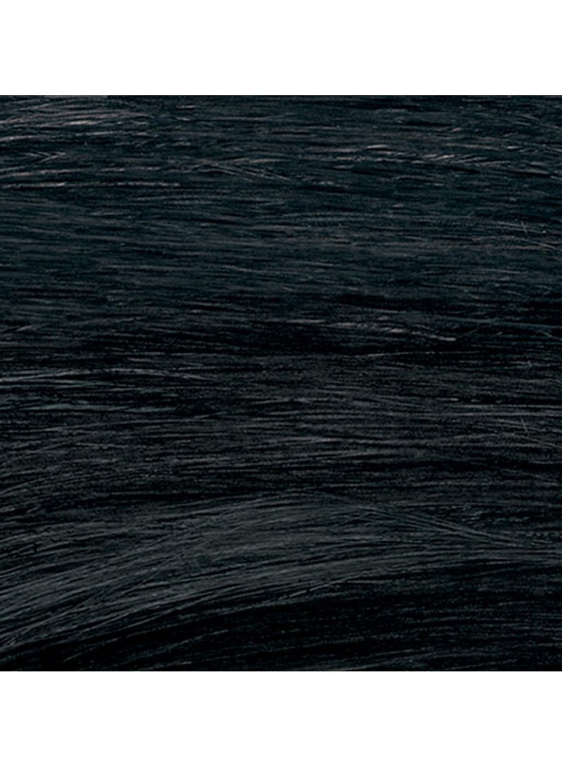 Revlon Colorsilk Haircolor #10 Black - Image 2