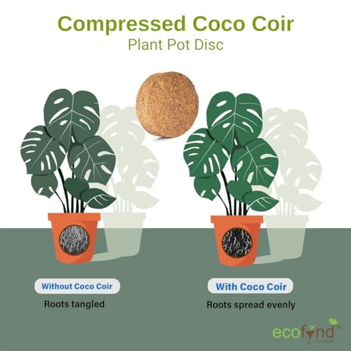 ecofynd عملة كوكوبت من إيكوفيند، قرص جوز الهند لخلط التربة، بدء البذور والنباتات (10 مم، عبوة من 10) - Image 4