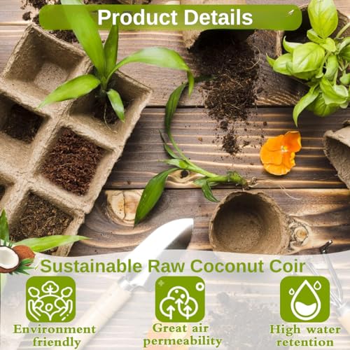 ecofynd عملة كوكوبت من إيكوفيند، قرص جوز الهند لخلط التربة، بدء البذور والنباتات (10 مم، عبوة من 10) - Image 5