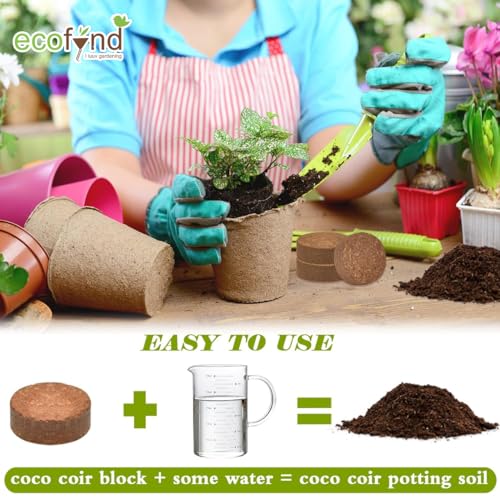ecofynd عملة كوكوبت من إيكوفيند، قرص جوز الهند لخلط التربة، بدء البذور والنباتات (10 مم، عبوة من 10) - Image 3