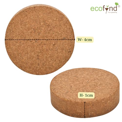 ecofynd عملة كوكوبت من إيكوفيند، قرص جوز الهند لخلط التربة، بدء البذور والنباتات (10 مم، عبوة من 10) - Image 2