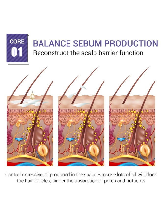 Breylee 2-PACKS Ginger Anti-Hair Loss and Hair Growth Essence Oil | Strengthens Hair Roots, Suitable for Both Men and Women 20ml*2 - Image 5