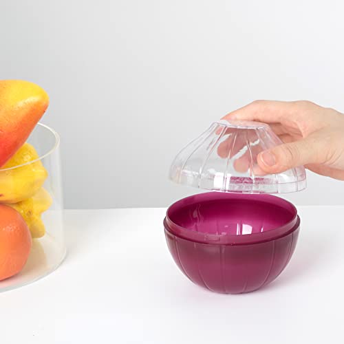 Lxmxgk Vegetable and Fruit Storage Containers for Fridge, BPA Free Fresh reusable Food Savers, Onion Storage Container 、Garlic Saver、Tomato Saver and Lemon Keeper，Refrigerator Vegetable Crisper (Circular) - Image 3