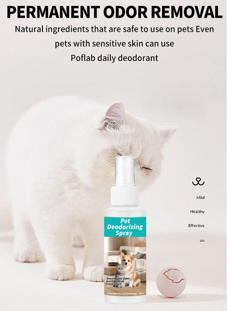 Jellico Best dog deodorizing spray ultimate dog deodorizing spray for smelly dogs best deodorizing spray for dogs long-lasting dog deodorant spray for freshness - Image 3