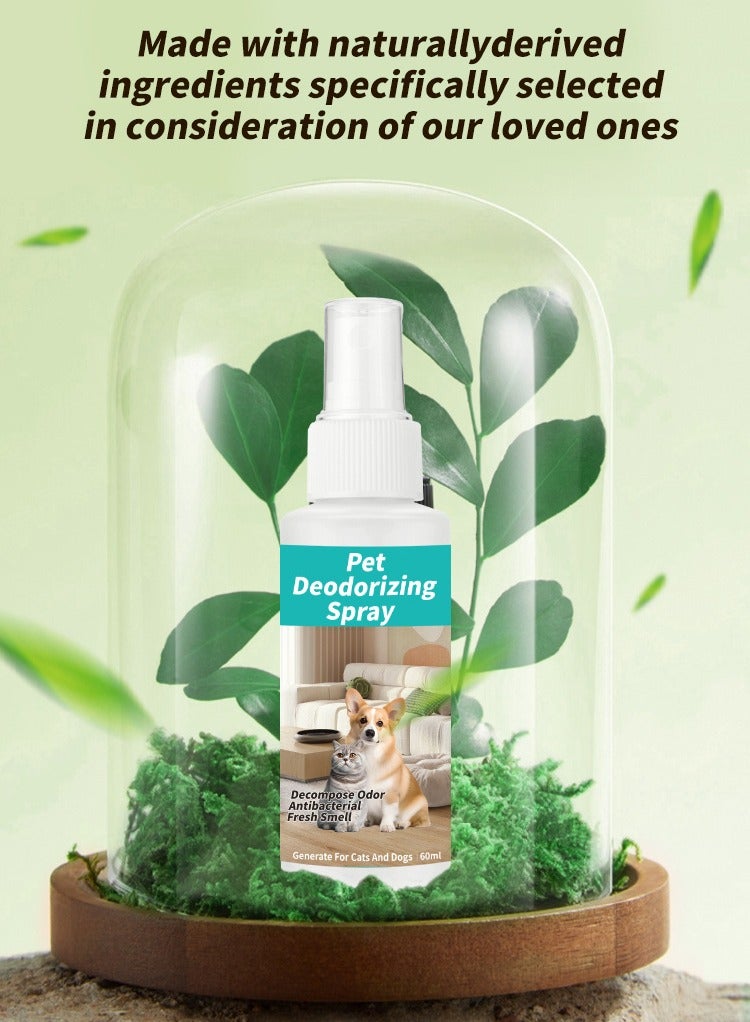 Jellico Best dog deodorizing spray ultimate dog deodorizing spray for smelly dogs best deodorizing spray for dogs long-lasting dog deodorant spray for freshness - Image 4