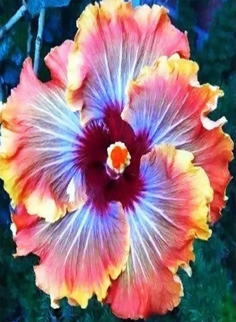 جي جوت 200 بذور زهرة الكركديه بألوان متنوعة | شتلات نباتات بونساي غزيرة النمو سهلة الزراعة، وردية اللون، مقاس واحد - Image 3