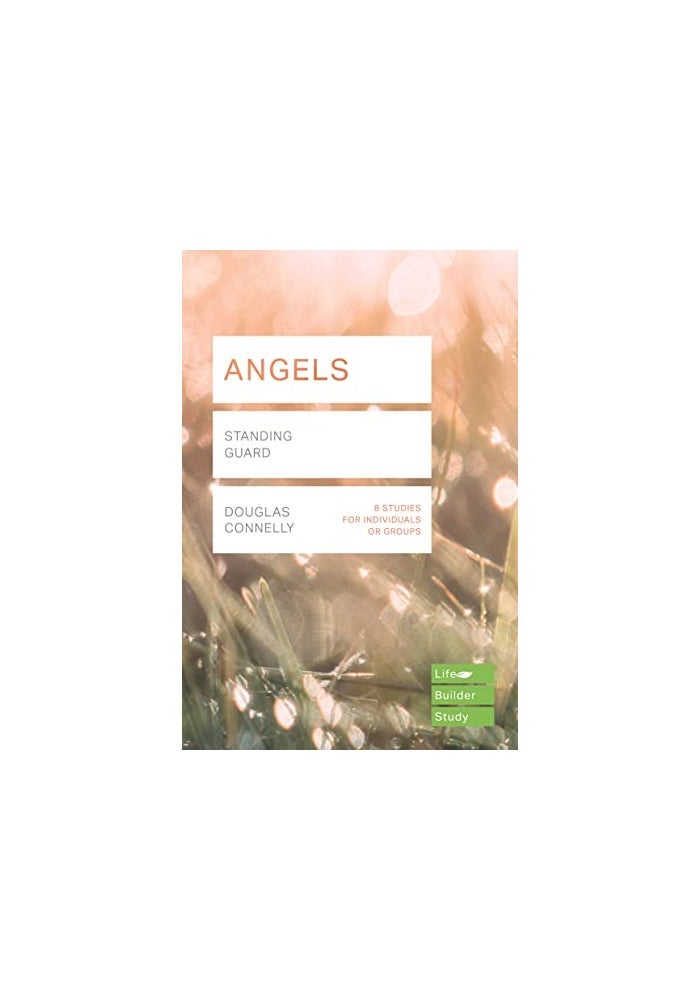 Angels Lifebuilder Study Guides Standing Guard