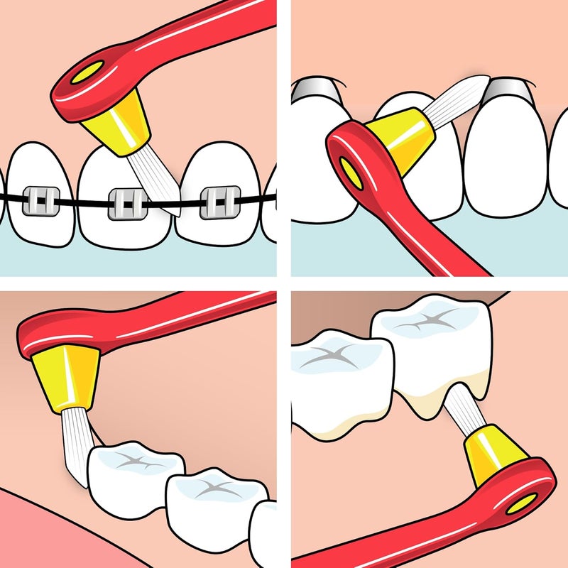 Tepe فرشاة تي بي إنترسبيس متوسطة مع 12 رأسًا - Image 3