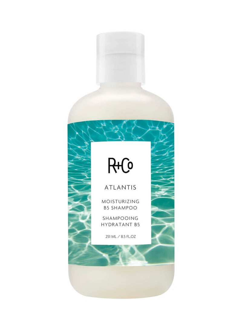 R+Co شامبو أتلانتس المرطب B5، 251 مل