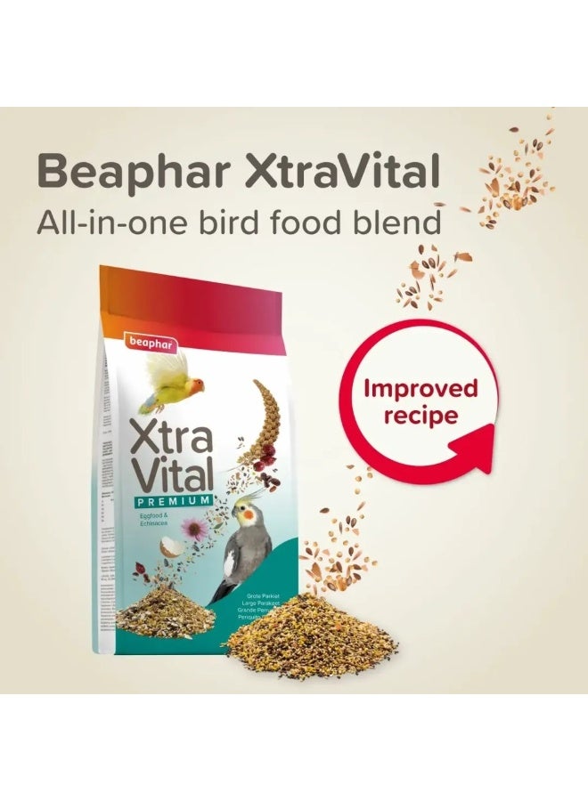 beaphar طعام ببغاء كبير بيفار إكسترا فيتال - 1 كجم - Image 2