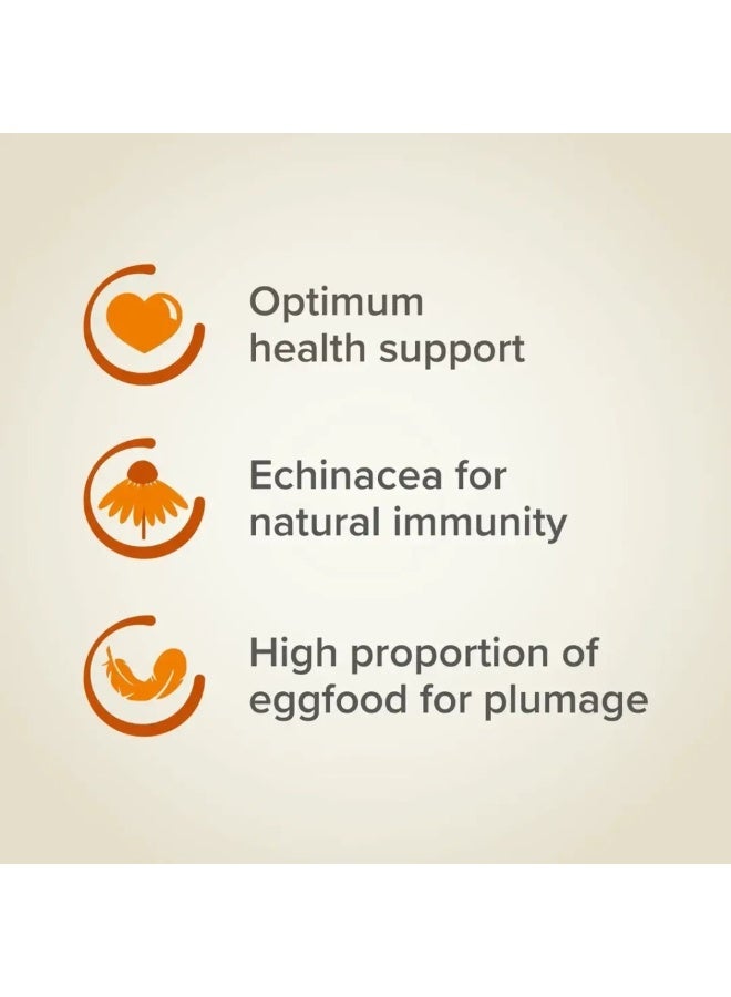 beaphar طعام ببغاء كبير بيفار إكسترا فيتال - 1 كجم - Image 3