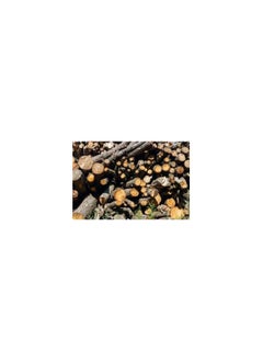 Generic Natural BBQ Charcoal (Medium Size Pieces) - Mango & Guava Wood Blend - 5kg, Healthy Packaging  - Image 4
