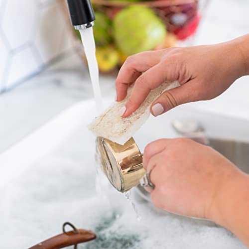 Full Circle Cleana Colada Coconut Scrubber Sponges - Pack Of 2 - Powerful Natural Sponges Made With Plant-Based & Recycled Materials  White - Image 5