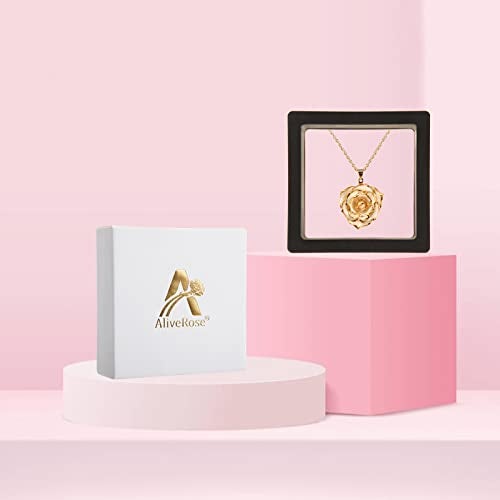 AliveRose Gold-Plated Necklace Gifts for Women, 24K Gold-Plated Real Rose Pendant Necklace Mothers Day Anniversaries Birthday Christmas Valentine's Day Gifts for Her (Ivory) - Image 4