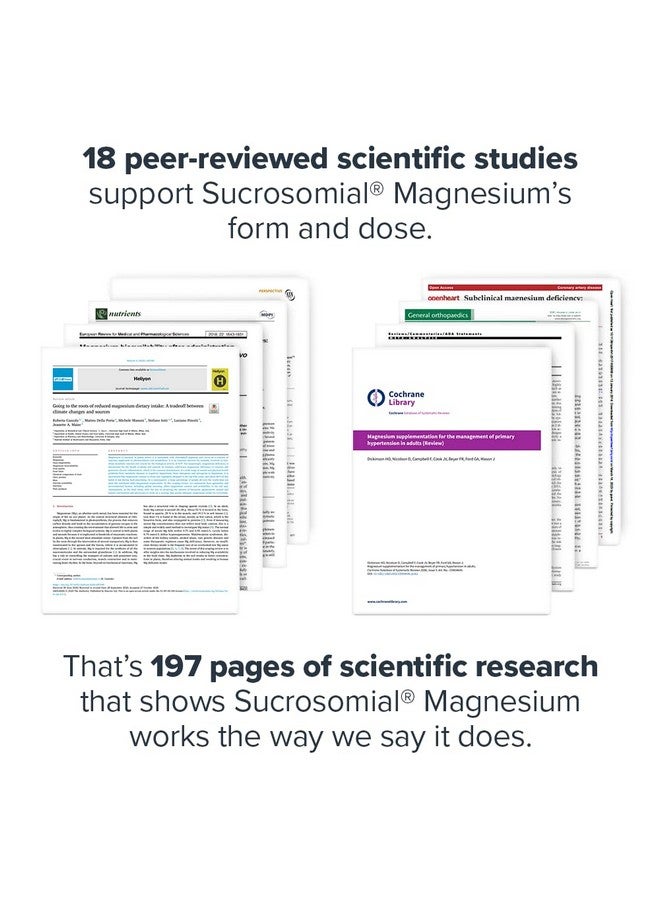 Legion Sucrosomial Magnesium Supplements High Absorption Magnesium Supplement For Women & Men Magnesium Mineral Supplements To Help Boost Athletic Performance & Overall Health 120 Servings - Image 4