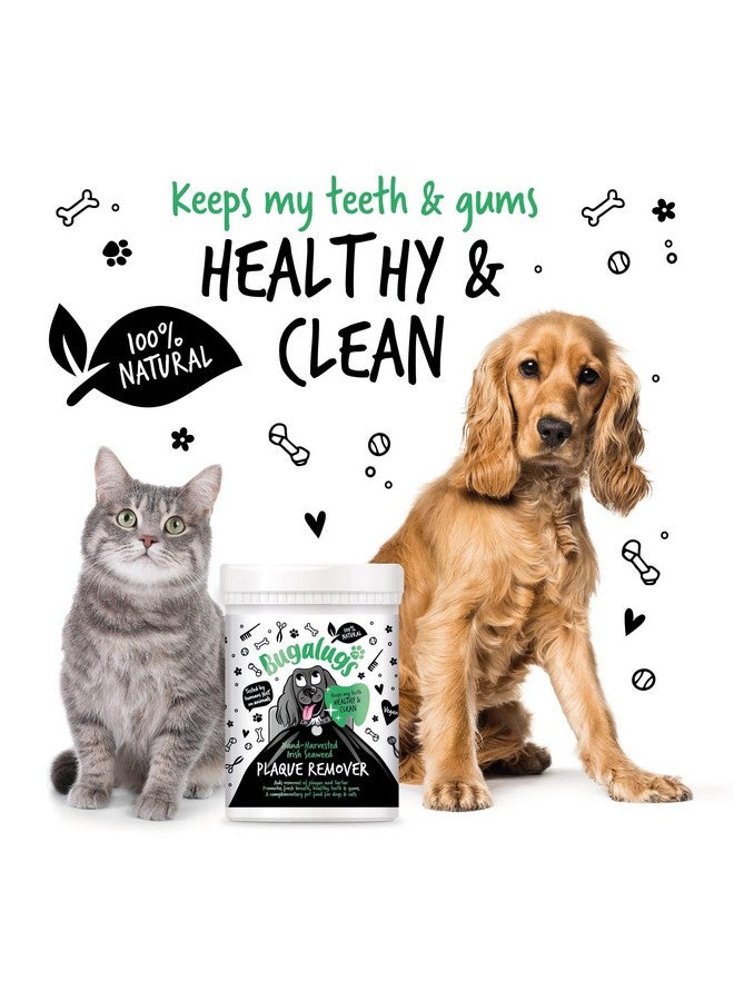 بوجالوجز مزيل البلاك من بوغالوغز لأسنان الكلاب ورائحة الفم الكريهة، طبيعي ١٠٠٪ | يزيل البلاك بدون فرشاة أسنان أو معجون أسنان للكلاب | يزيل رائحة الفم الكريهة والبلاك للكلاب والقطط (للكلاب ٧٠ غرامًا) - Image 4