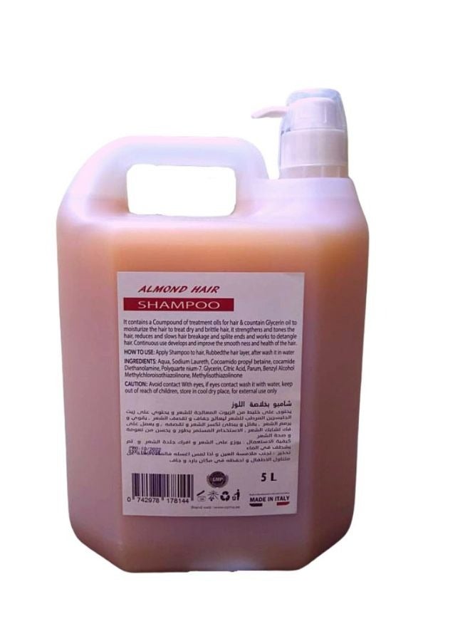 Ozma Professional شامبو أوزما المرطب للشعر. تركيبة محسنة. منظف ومنشط- لكل أنواع الشعر. بخلاصة الأرغان. 5ليتر - Image 2
