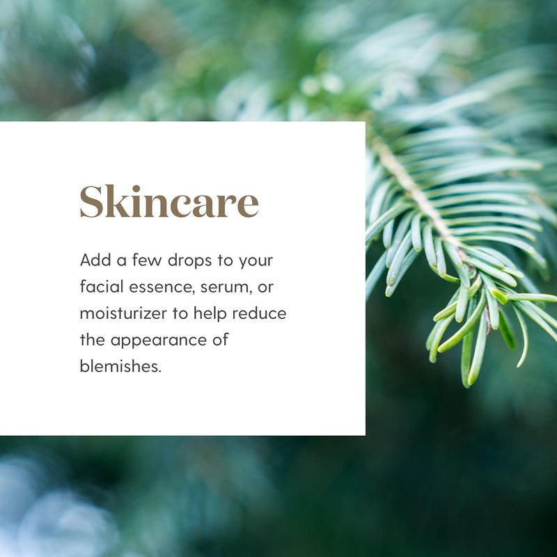 Young Living Cypress Essential Oil 15ml - Pure Aromatic Oil for Relaxation and Grounding - Image 3