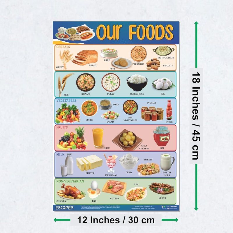 ESCAPER Our Foods Educational Charts for Kids, Charts for Kids Learning (11.5 x 17.5 inches), Kids Study Material, Kids Learning Books, Educational Posters - Image 2