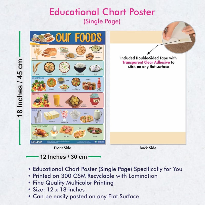 ESCAPER Our Foods Educational Charts for Kids, Charts for Kids Learning (11.5 x 17.5 inches), Kids Study Material, Kids Learning Books, Educational Posters - Image 3
