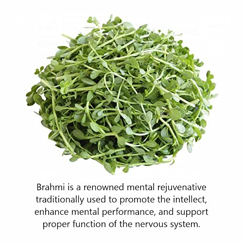 Herb Essential Brahmi Tablets 60 Count (Pack of 2) | Brahmi Tablets for Memory & Brain Health | Ayurvedic Herbal Supplement for Focus, Concentration & Stress Support | Natural Adaptogenic Formula - Image 4