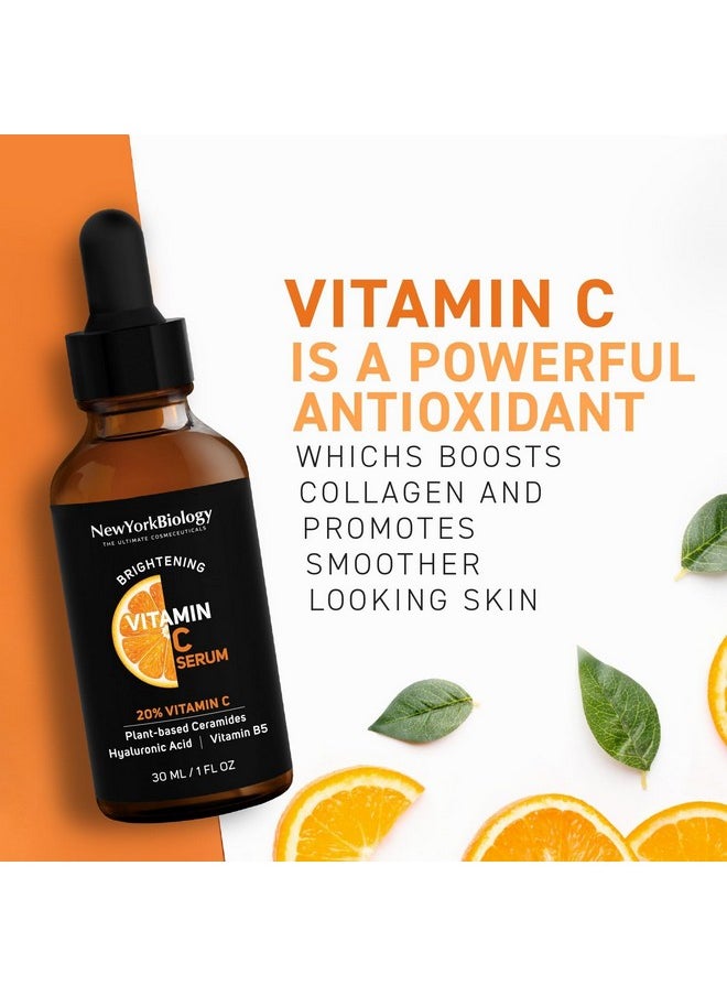 NEW YORK BIOLOGY THE ULTIMATE COSMECEUTICALS - New York Biology Vitamin C Serum For Face With Hyaluronic Acid And 20% Vitamin C 1 Fl Oz Moisturizing Anti Aging Face Serum For Dark Spots Dark Circles Fine Lines And Wrinkles - Image 1
