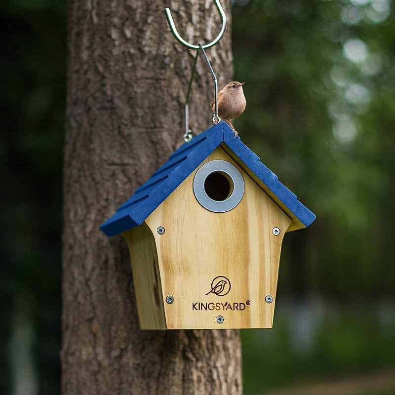 Kingsyard Wooden Wren House with Predator Guard, Bird Nesting for Outdoor, Garden Patio Nest Box Birdhouse for Wild Bird Watching, Royal Blue - Image 2