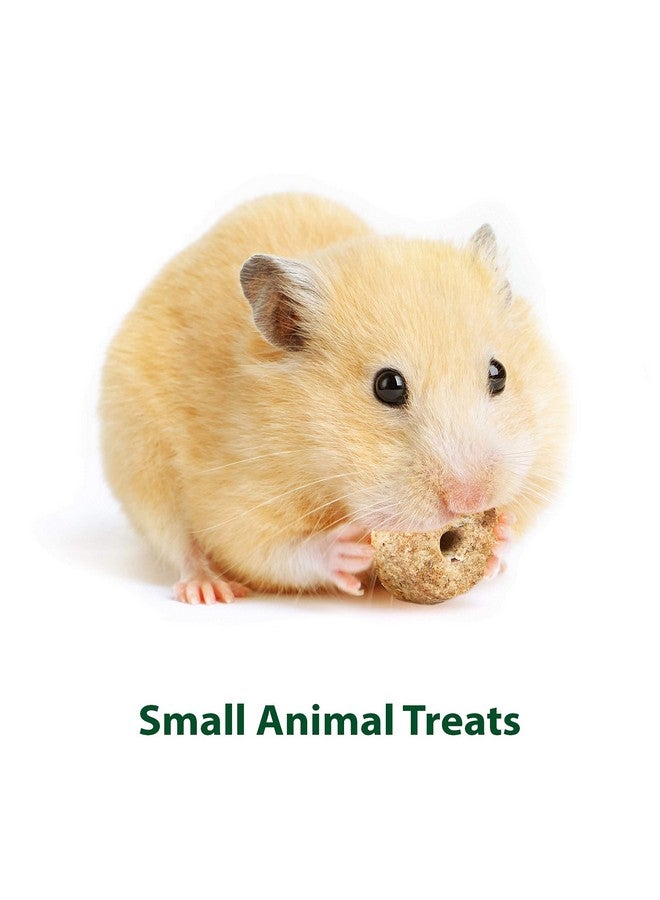 كايتي بسكويت تيموثي المخبوز للخنازير الغينية الأليفة والأرانب والحيوانات الصغيرة الأخرى، تفاح، 4 أونصة - Image 5