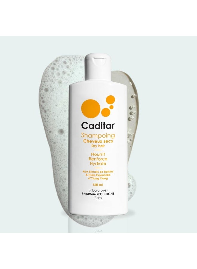 Caditar Dry Hair Shampoo 150 Ml - Image 3