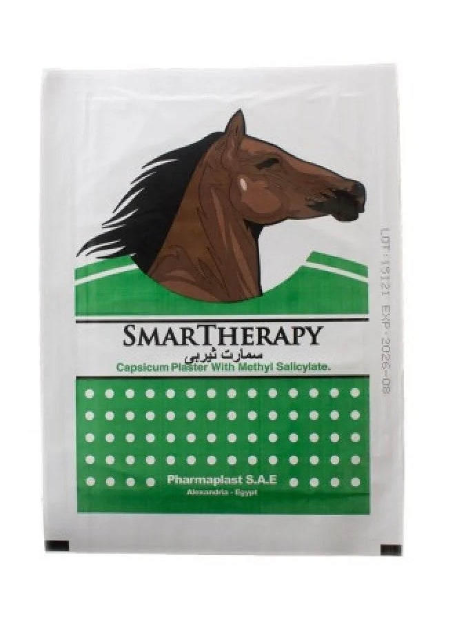 SMARTHERAPY Smart Therapy Back Pads 1 Piece 