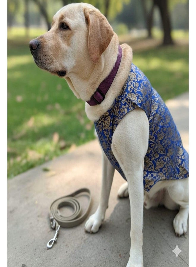 Lulala Traditional Dog Sherwani for Wedding & Festivals, Ethnic Indian Outfit for Pets, Designer Pet Costume with Embroidery & Velcro Closure, Small to Large Dogs (Blue 14 Inch) - Image 5