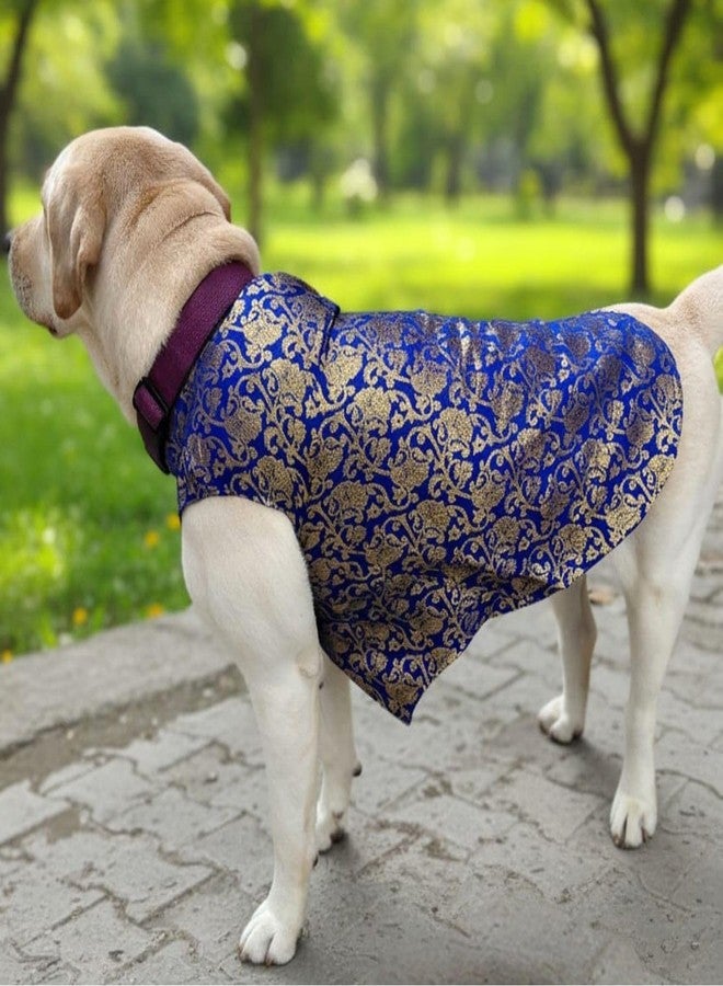 Lulala Traditional Dog Sherwani for Wedding & Festivals, Ethnic Indian Outfit for Pets, Designer Pet Costume with Embroidery & Velcro Closure, Small to Large Dogs (Blue 14 Inch) - Image 4