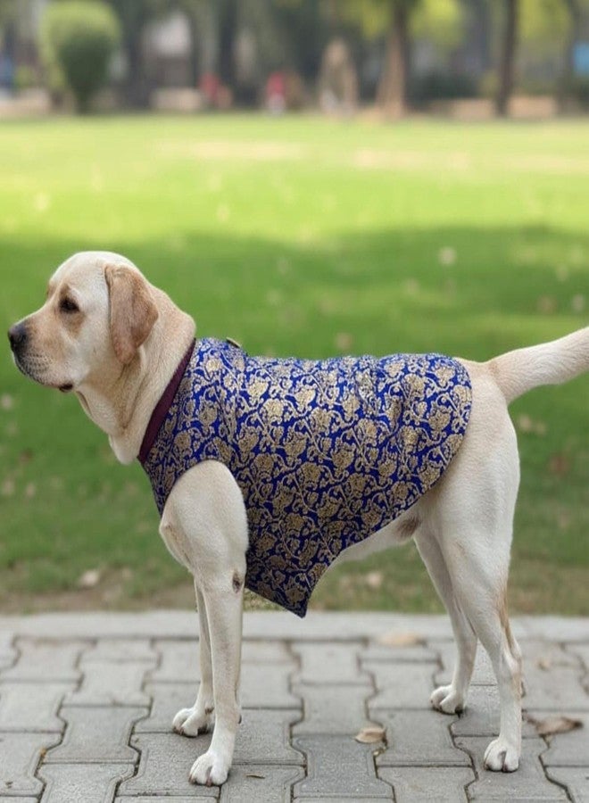 Lulala Traditional Dog Sherwani for Wedding & Festivals, Ethnic Indian Outfit for Pets, Designer Pet Costume with Embroidery & Velcro Closure, Small to Large Dogs (Blue 14 Inch) - Image 2