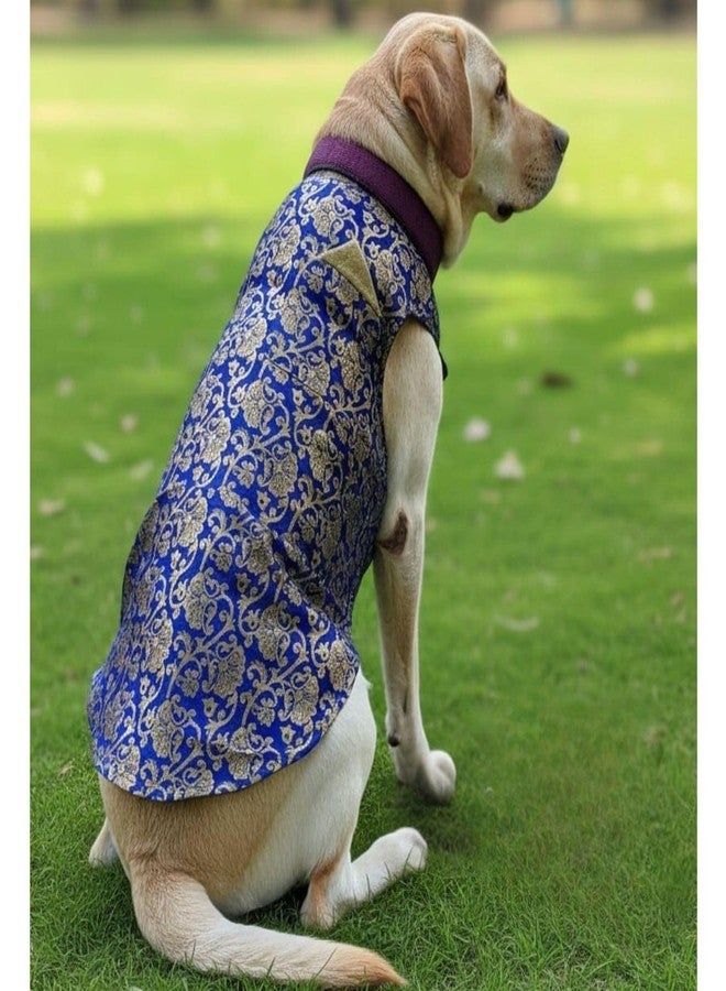 Lulala Traditional Dog Sherwani for Wedding & Festivals, Ethnic Indian Outfit for Pets, Designer Pet Costume with Embroidery & Velcro Closure, Small to Large Dogs (Blue 14 Inch) - Image 1