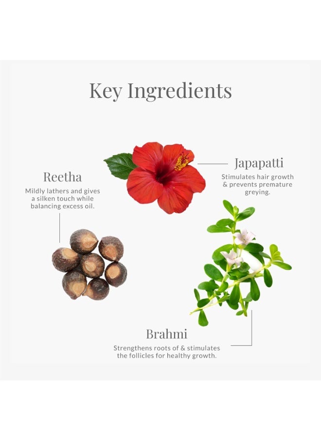 فورست اسينشالز منظف ​​الشعر فورست إسينشالز بخلاصة الجاباباتي والبراهمي | شامبو طبيعي أيورفيدي | للشعر الجاف والمجعد والمعالج كيميائياً | خالٍ من الكبريتات والبارابين، 200 غرام (عبوتان) - Image 4