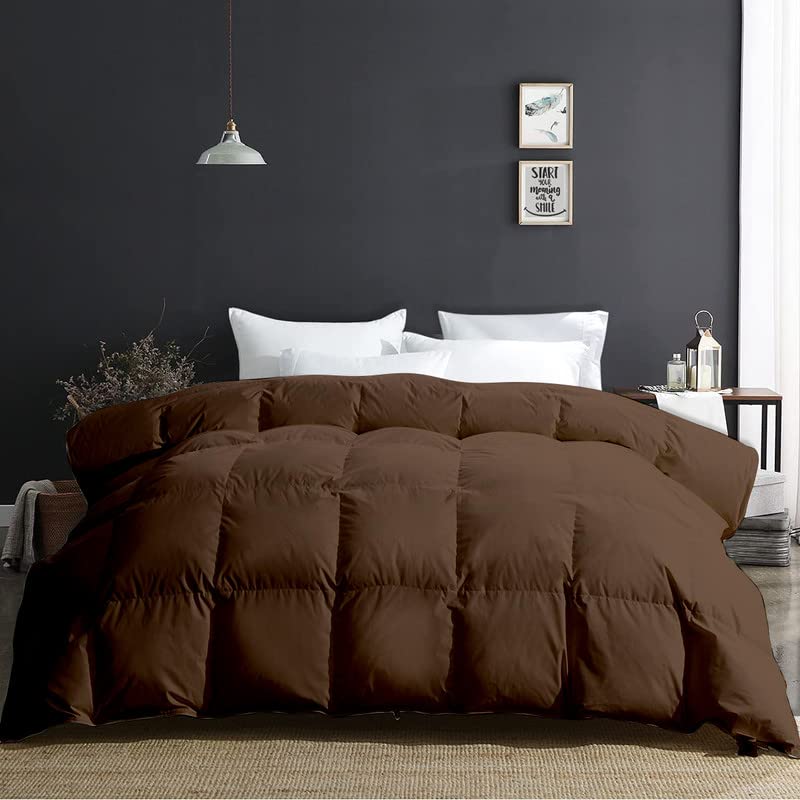 Razzai Queen Size Comforter 500 GSM Winter Comforter Premium Collection Quilted Comforter (90" x 90" Inches/228cm x 228cm) - Queen Size | Chocolate Brown - Image 3