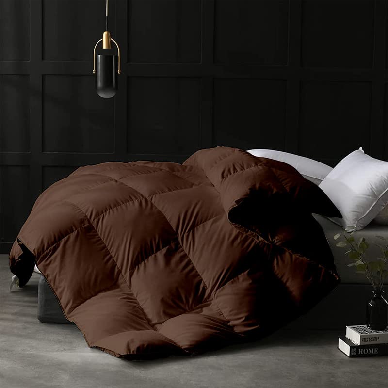 Razzai Queen Size Comforter 500 GSM Winter Comforter Premium Collection Quilted Comforter (90" x 90" Inches/228cm x 228cm) - Queen Size | Chocolate Brown - Image 1