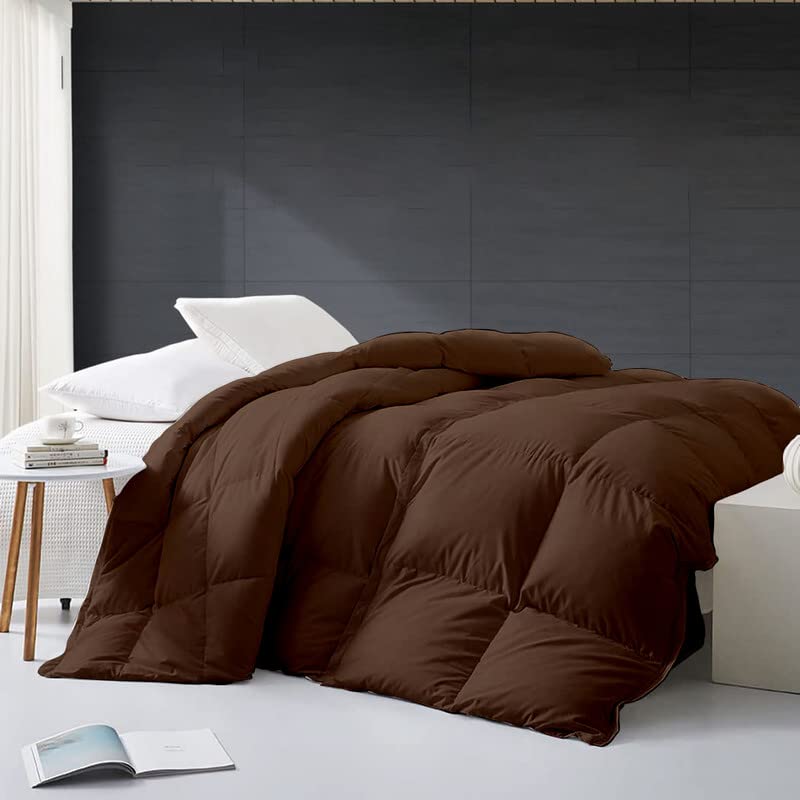 Razzai Queen Size Comforter 500 GSM Winter Comforter Premium Collection Quilted Comforter (90" x 90" Inches/228cm x 228cm) - Queen Size | Chocolate Brown - Image 2