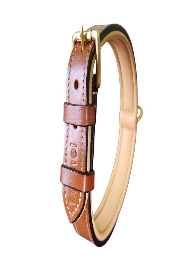 LEXNEL Padded Leather Dog Collar, X-Large Dog Collar, Wide Heavy Duty Genuine Leather Dog Collars, 28" Long x 1.5" Wide, Fits Neck Size 22" to 26" Inches (Brown) - Image 2