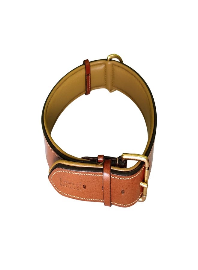 LEXNEL Padded Leather Dog Collar, X-Large Dog Collar, Wide Heavy Duty Genuine Leather Dog Collars, 28" Long x 1.5" Wide, Fits Neck Size 22" to 26" Inches (Brown) - Image 1