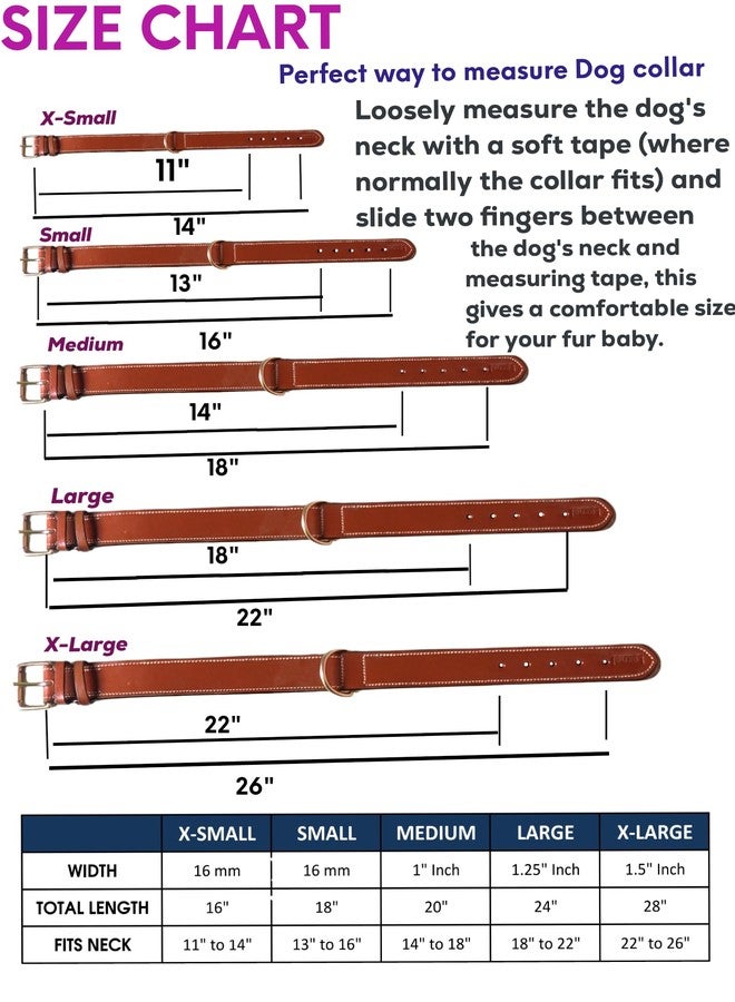 LEXNEL Padded Leather Dog Collar, X-Large Dog Collar, Wide Heavy Duty Genuine Leather Dog Collars, 28" Long x 1.5" Wide, Fits Neck Size 22" to 26" Inches (Brown) - Image 3