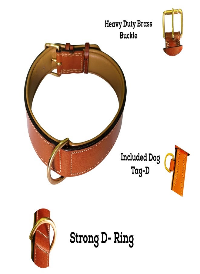 LEXNEL Padded Leather Dog Collar, X-Large Dog Collar, Wide Heavy Duty Genuine Leather Dog Collars, 28" Long x 1.5" Wide, Fits Neck Size 22" to 26" Inches (Brown) - Image 4