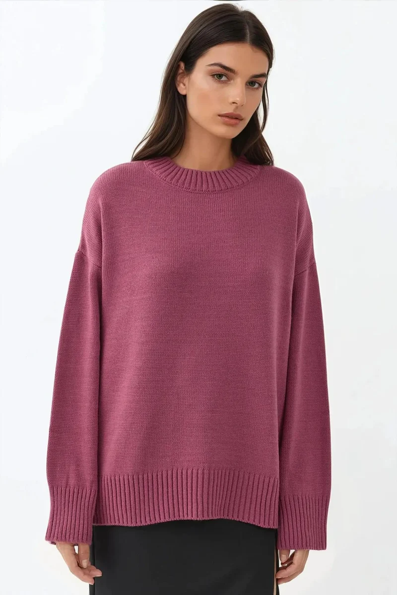Hiccup Crew Neck Cozy Sweater