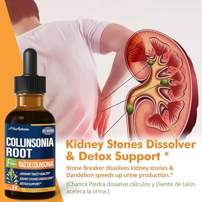 Nurbetoxa Collinsonia (Stone Root) Drops for Urinary Tract Health, Natural Herbal Formula Supplement w/Stone Breaker Chanca Piedra Extract Support Kidney Stones Dissolver & Detox Cleanse. 2oz - Image 3